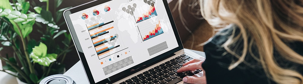 Consultant looking at data