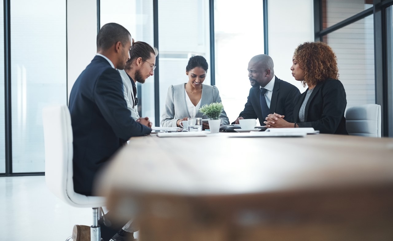 A group of professionals at a conference table