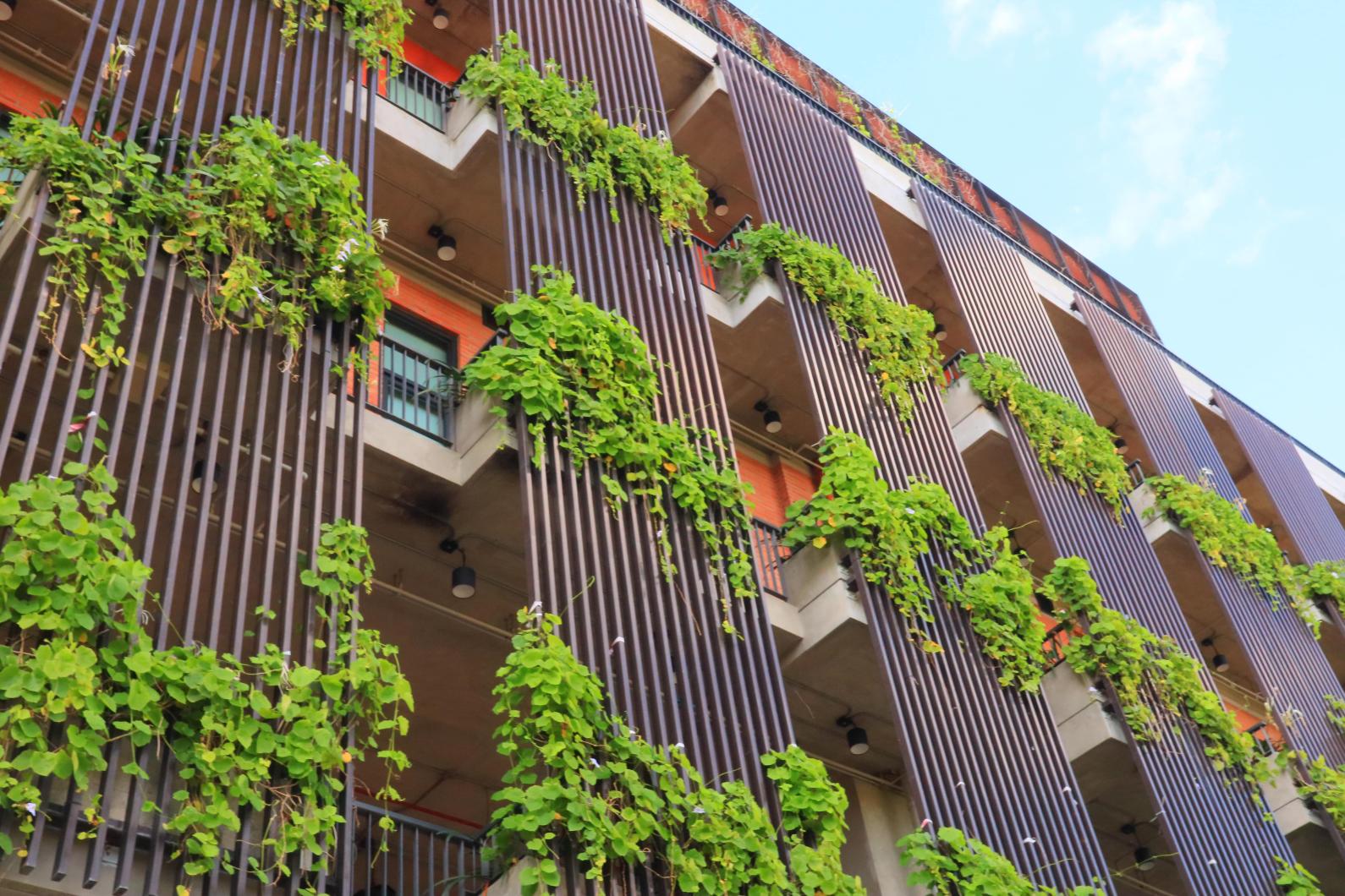 Building with green plants