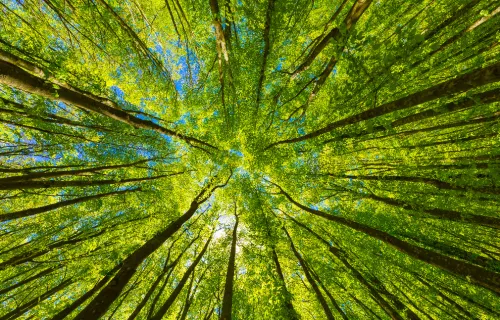 Responsible AI-beleid innovatie-versnellend