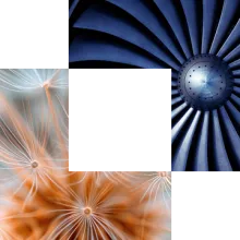 Cornerstone image of plant and propeller