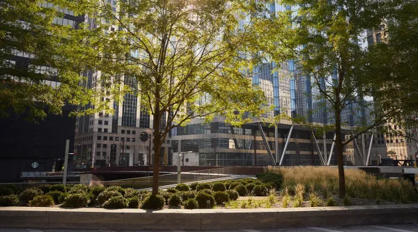 Modern, sustainable data center with trees and shrubs in front
