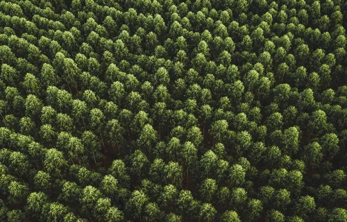 European space agency