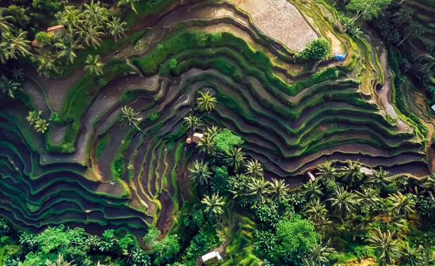 Ariel view of tropical mountain range - Sustainability