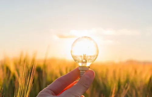 lightbulb representing innovation