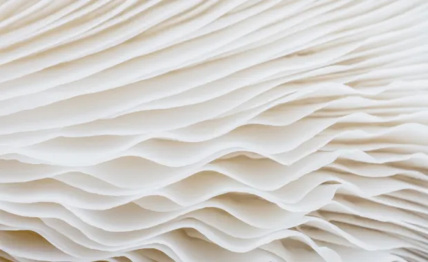 white waves abstract image