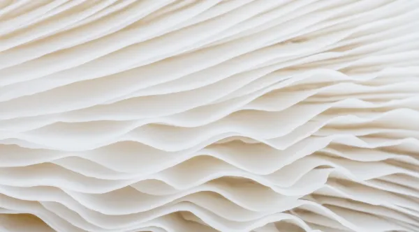 white waves abstract image